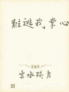 难逃我掌心