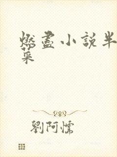 燃尽小说半截白菜