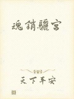 魂销骊宫封面