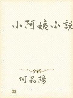 小阿姨小说