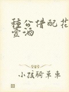 种公借配花间一壶酒