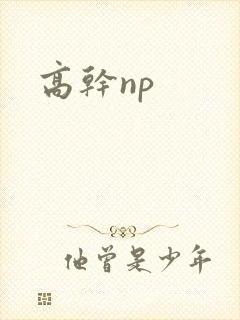 高干np封面