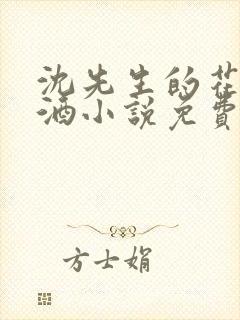 沈先生的花式调酒小说免费阅读