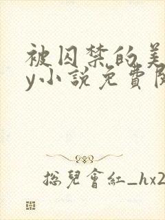 被囚禁的美人by小说免费阅读
