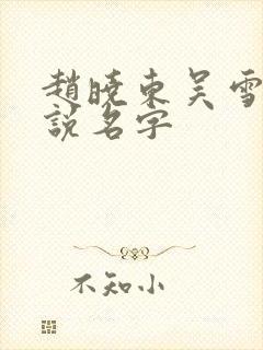 赵晓东吴雪晴小说名字