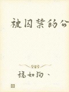 被囚禁的公主