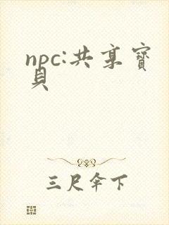 npc:共享宝贝