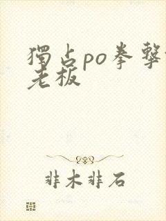独占po拳击馆老板