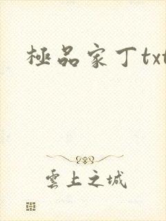 极品家丁txt