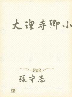 大理寺卿小说