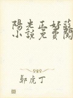 阳光正好苏玥玥小说免费阅读无弹窗