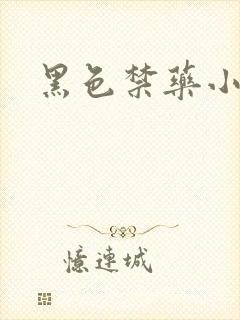黑色禁药小说