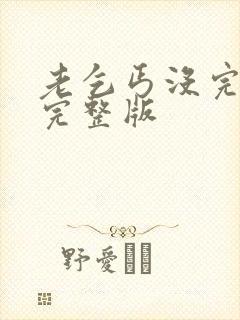 老乞丐没完没了完整版