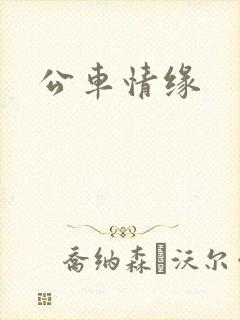 公车情缘