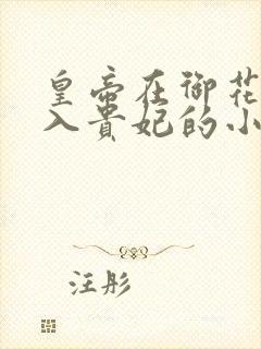 皇帝在御花园进入贵妃的小说