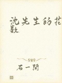 沈先生的花式调数