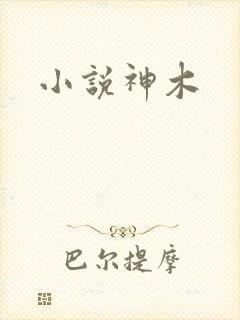 小说神木