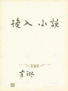 后入 小说