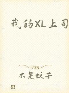 我的XL上司