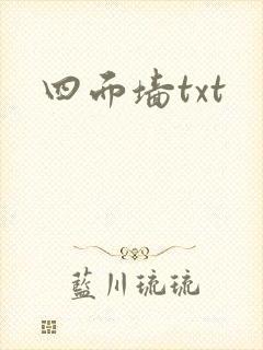 四面墙txt