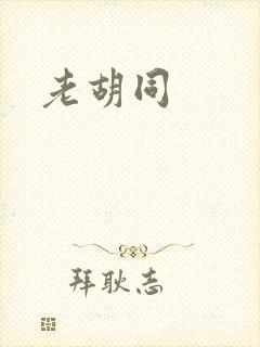 老胡同封面