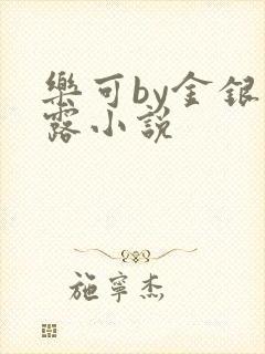 乐可by金银花露小说