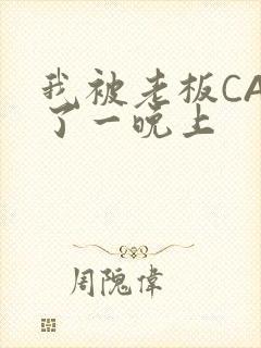 我被老板CAO了一晚上