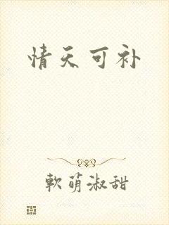 情天可补