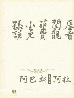 孙小萌闫辰的小说免费观看封面