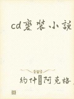 cd变装小说