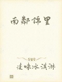南邻锦里封面