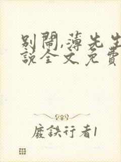 别闹,薄先生小说全文免费阅读