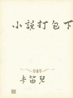 小说打包下载
