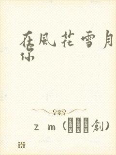 在风花雪月里等你