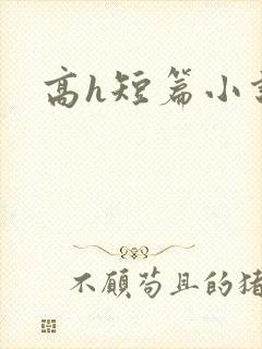 高h短篇小说
