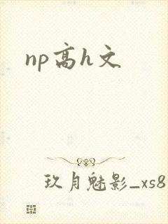 np高h文封面
