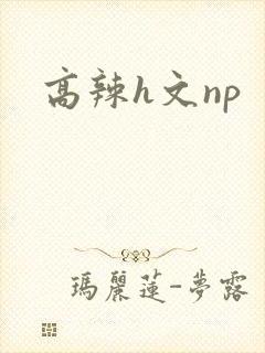 高辣h文np