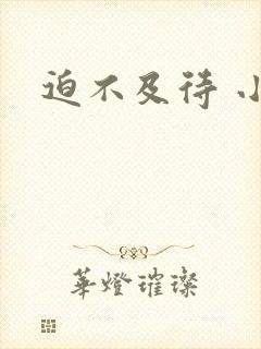 迫不及待 小穴