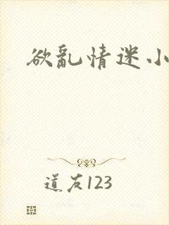 欲乱情迷小说封面