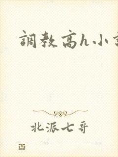 调教高h小说