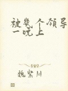 被几个领导玩弄一晚上