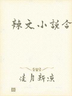 辣文小说合集