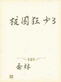 校园狂少3