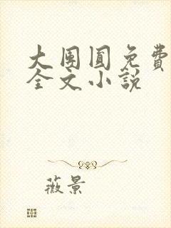 大团圆免费阅读全文小说