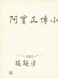 阿宾正传小说