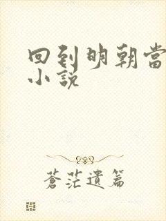 回到明朝当王爷小说