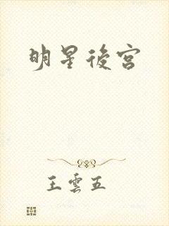 明星后宫