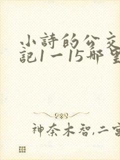 小诗的公交车日记1一15哪里能看