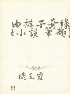 内裤子奇缘txt小说 笔趣阁