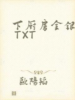 下厨房金银花露 TXT封面